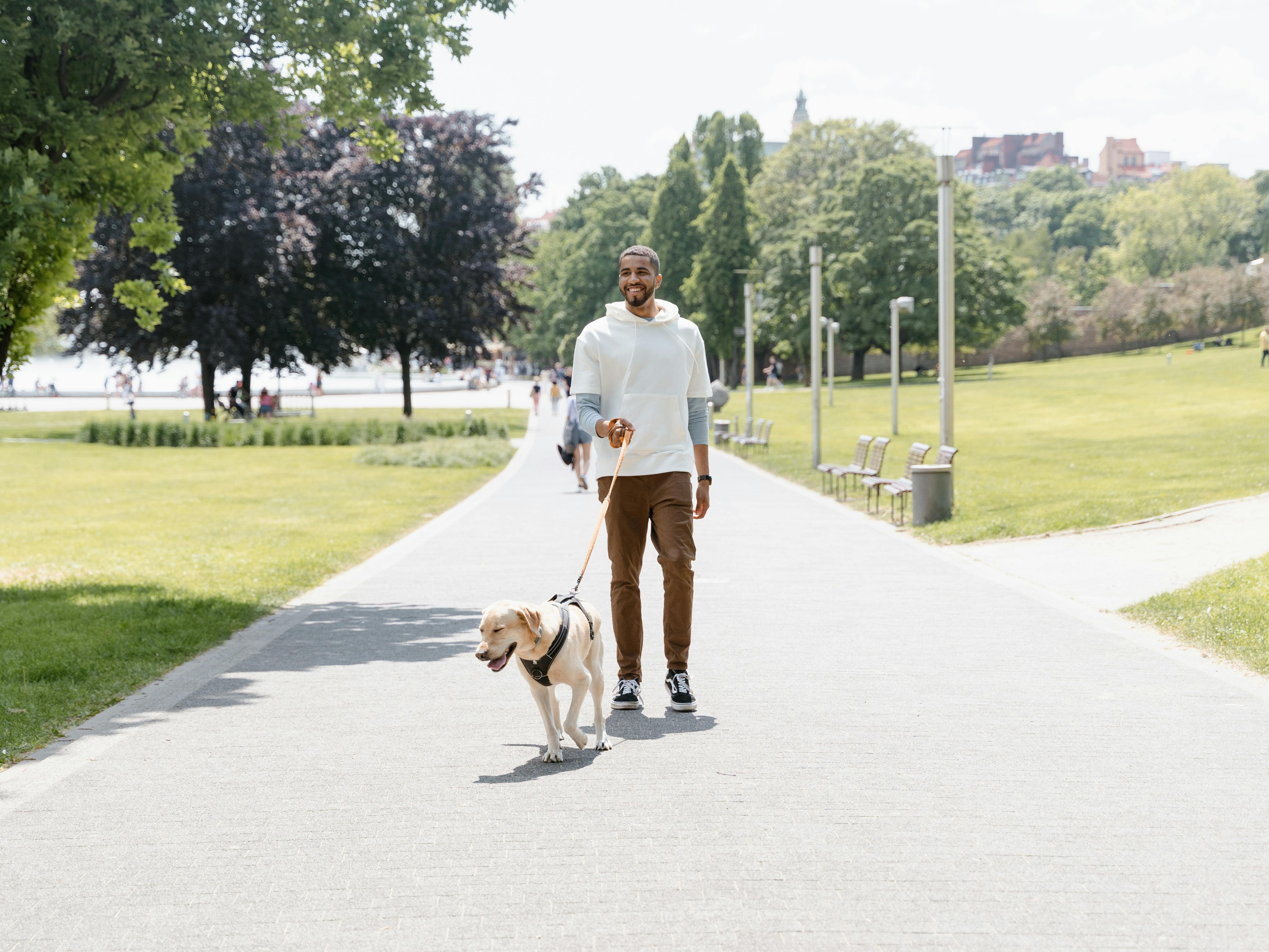 Dog Walking